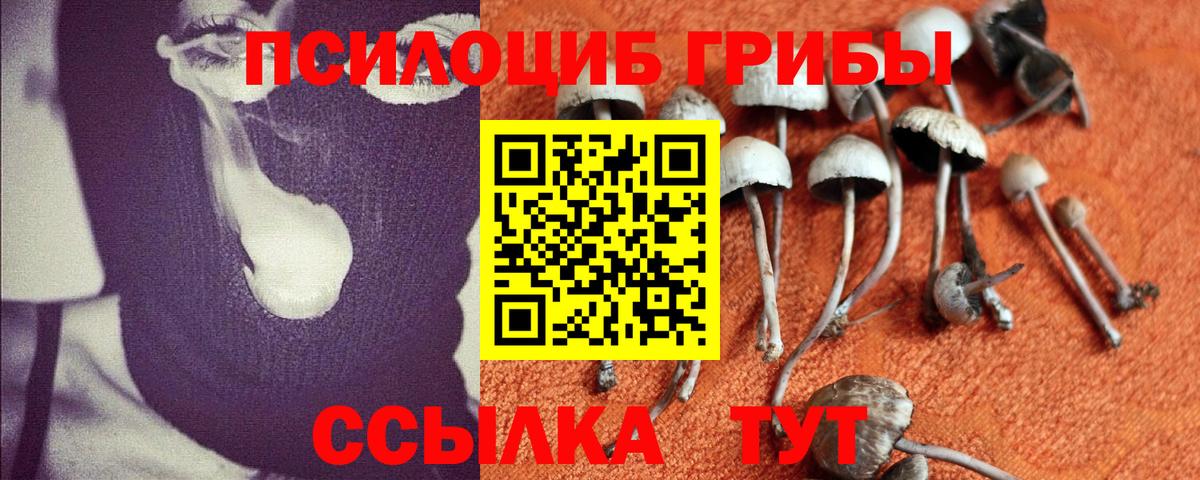 Галлюциногенные грибы Psilocybe  Вход с VPN  Кызыл  Галлюциногенные грибы ЛСД 
