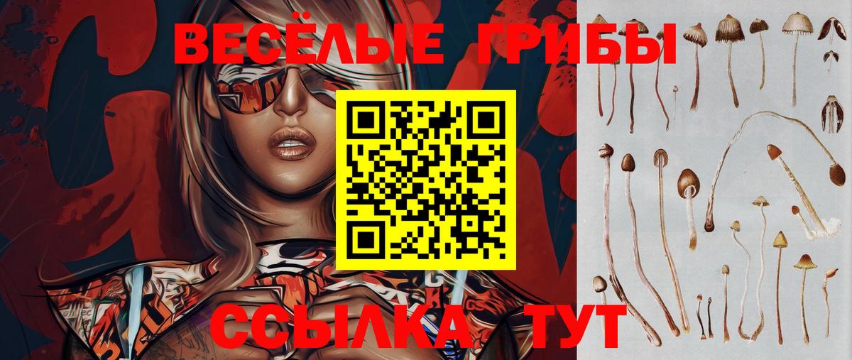 Галлюциногенные грибы мицелий Кызыл